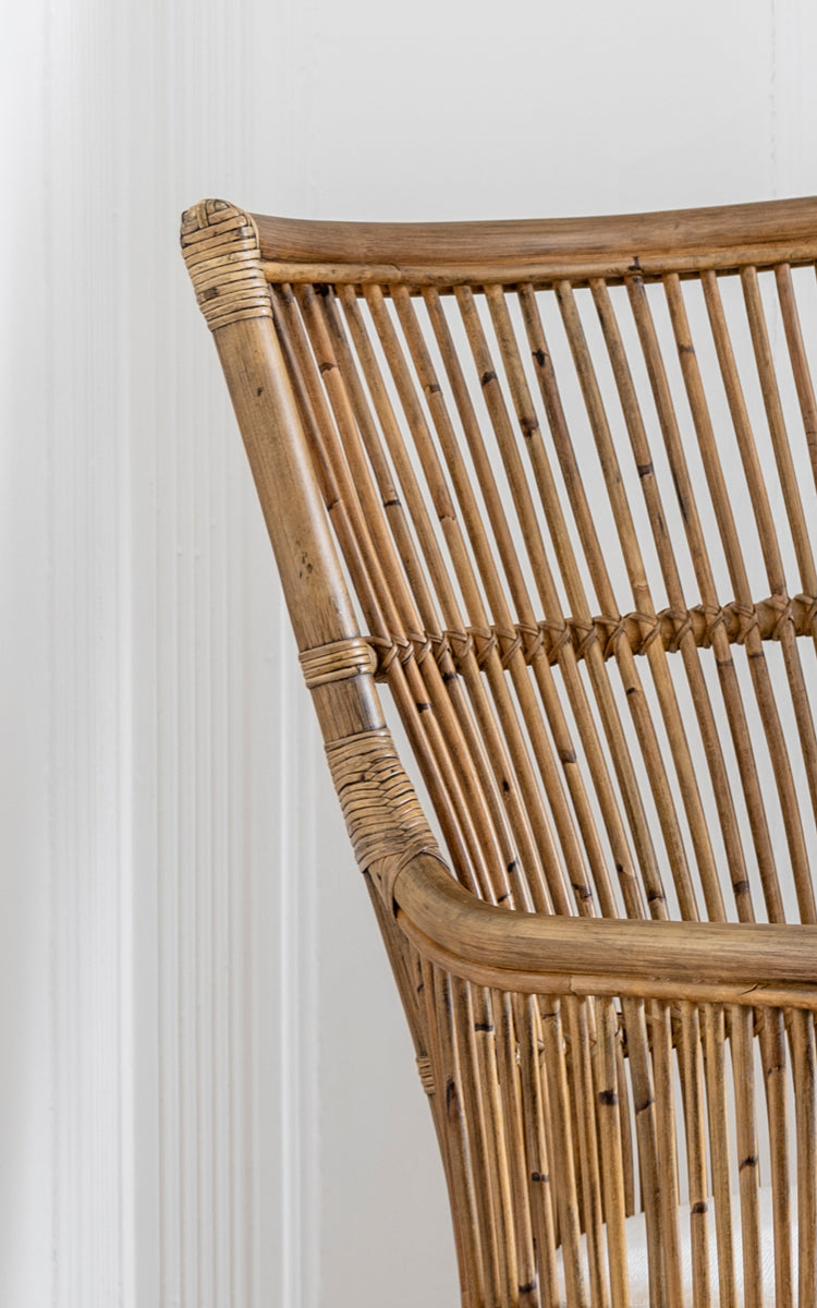 Dies ist ein Nahaufnahmebild von Davinci Esszimmerstuhl in antique rattan.