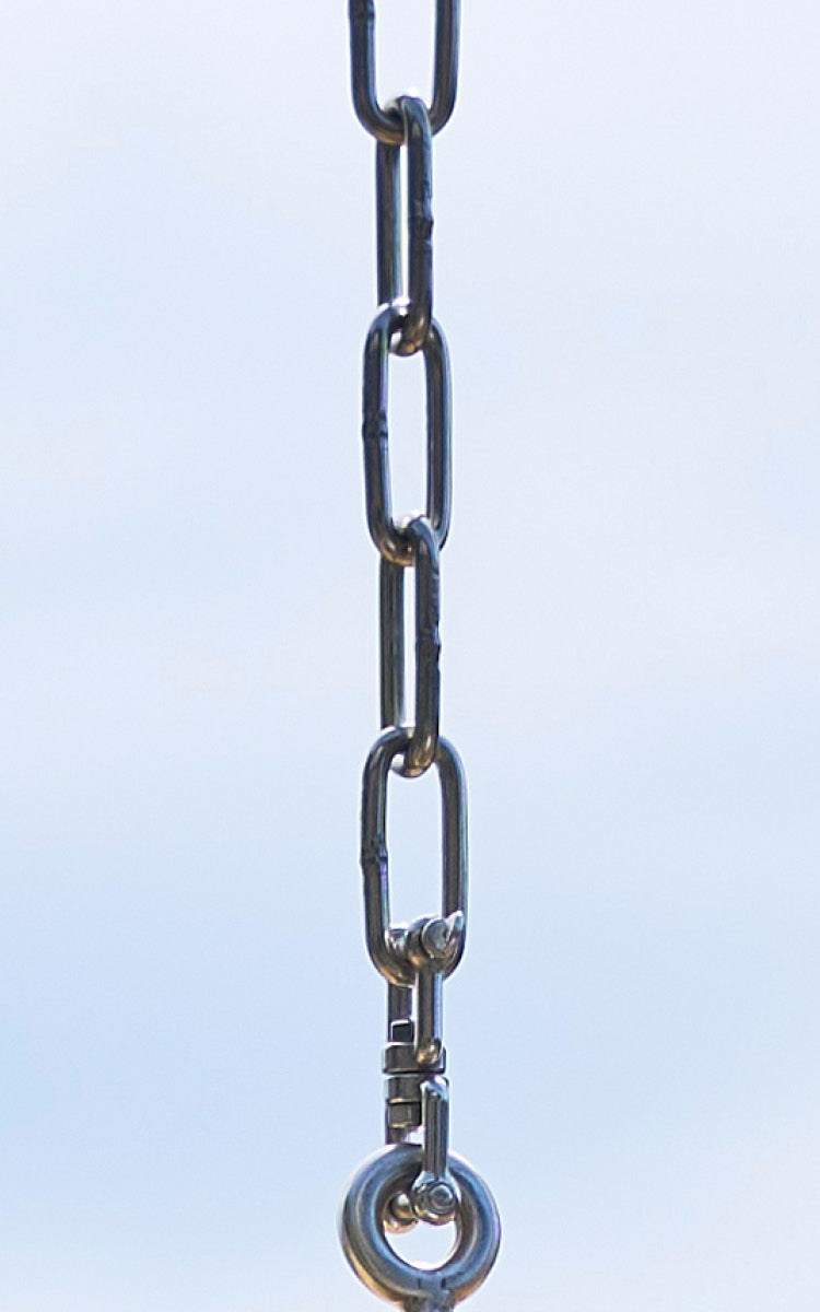 Dies ist ein Nahaufnahmebild von Chain Hänge-Ei in metal.