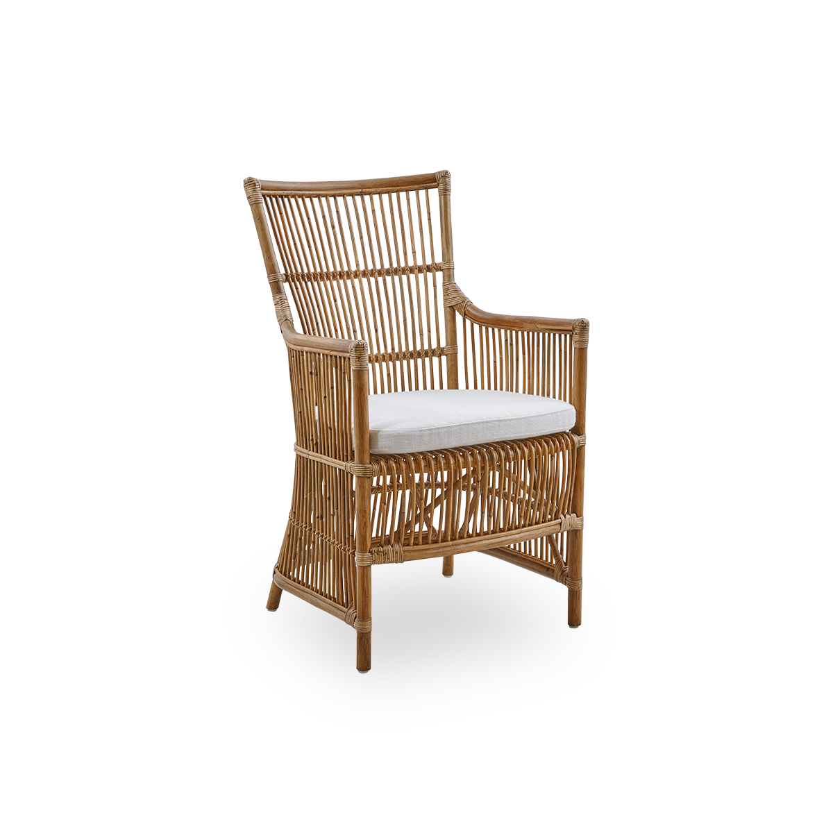 Dies ist ein Nahaufnahmebild von Davinci Dining Chair in antique rattan.