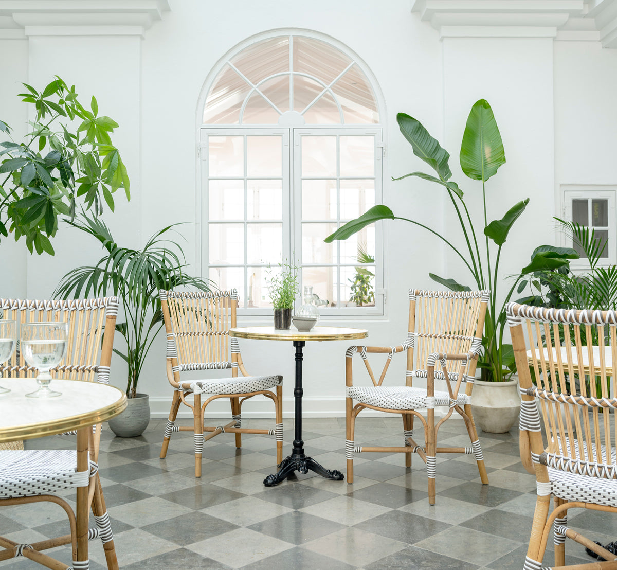 Dies ist ein Lifestyle-Bild von Monique Esszimmerstuhl in white w cappuccino dot artfibre skin on rattan frame. In einem hellen Interieur gestylt.