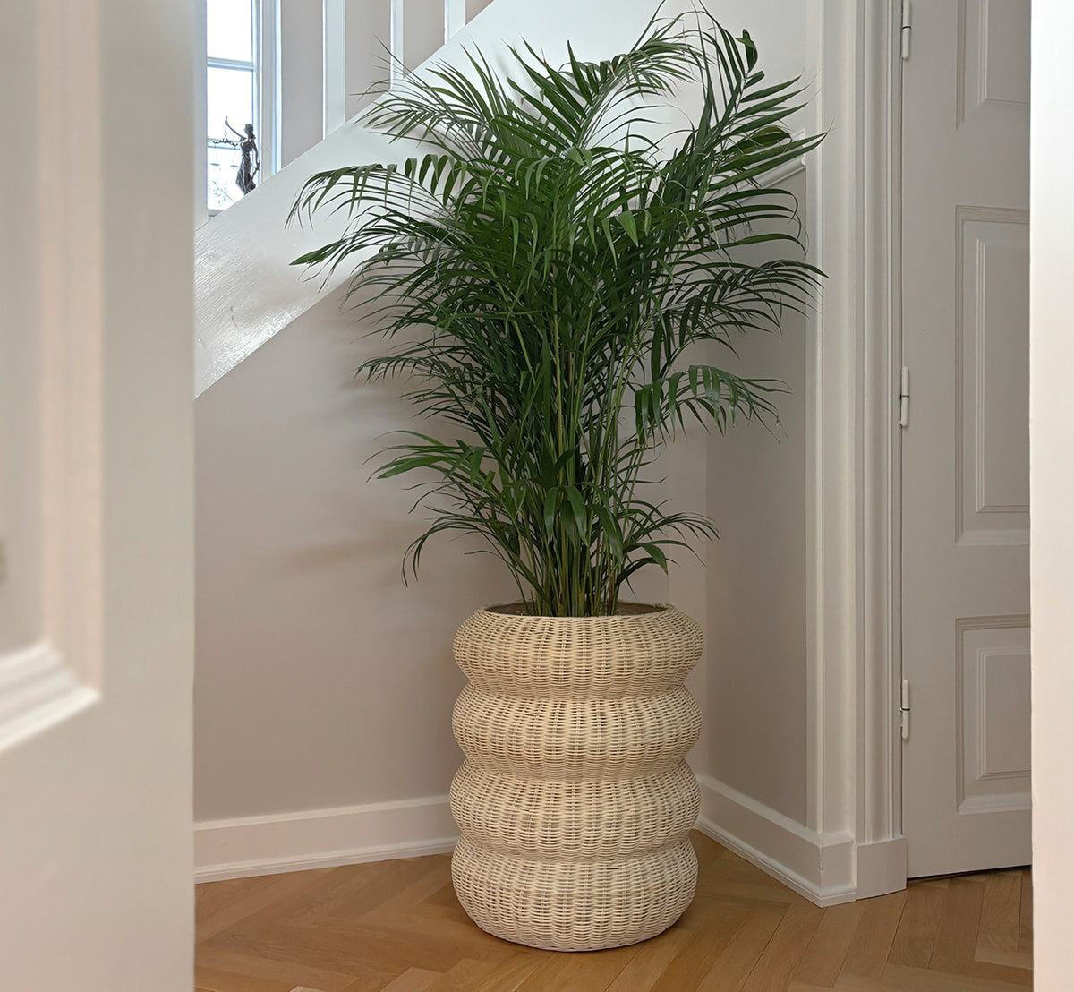 Dies ist ein Lifestyle-Bild von Mel Basket i natural core weave rattan frame. Auf Fischgrätboden in einem hellen getäfelten Flur.
